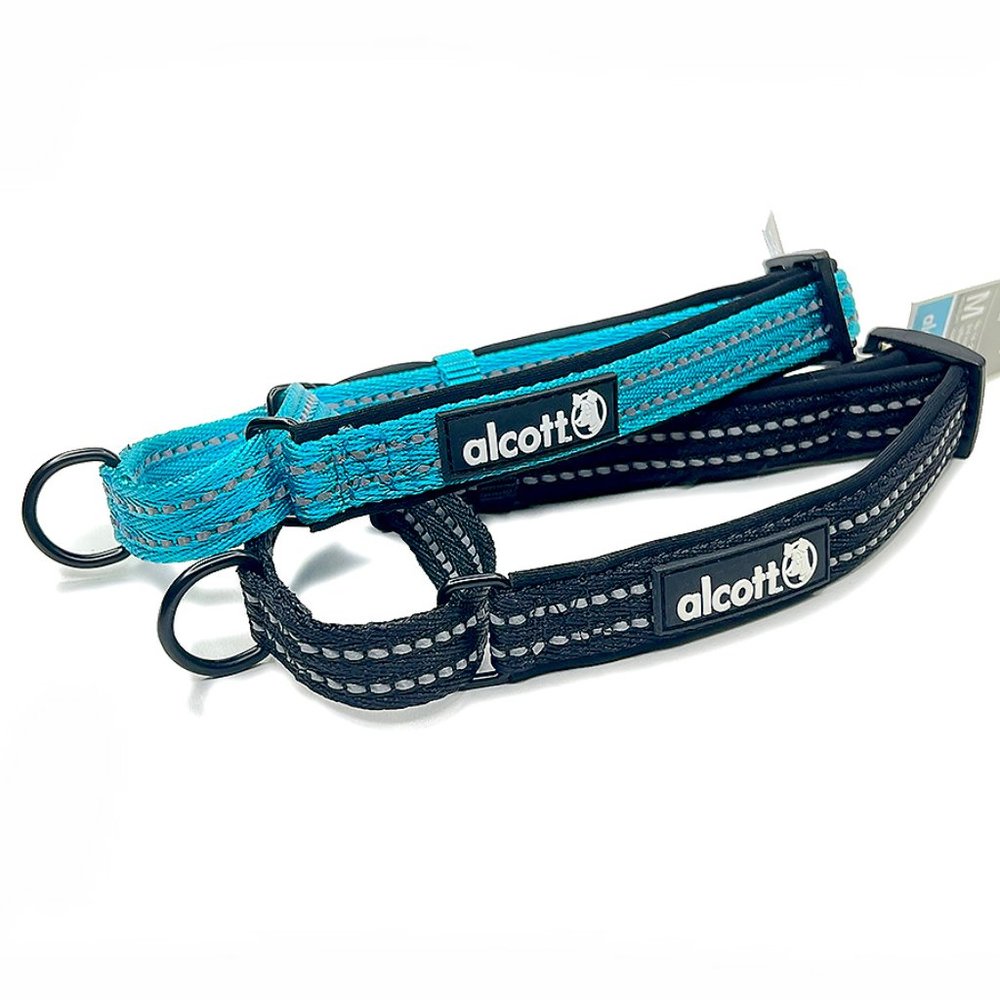 Martingale Nylon Collar, Large 14"-20"